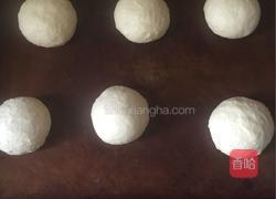 富贵花开的做法图解6