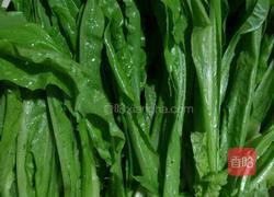 蒜香蚝汁油麦菜的做法图解2