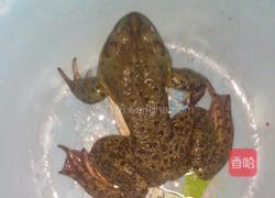 辣炒牛蛙的做法图解1