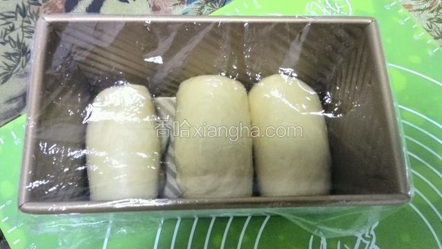 面团拿出排气分割三等分卷起来放入模具进行二次发酵。