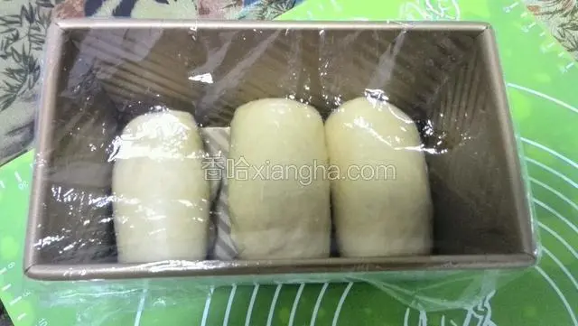 放进土司模，盖上保鲜膜进行第二次发酵。