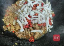 蘑姑炒鸡的做法图解5