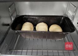 胡萝卜蔬菜面包的做法图解21