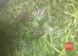 蒜泥米苋的做法图解5