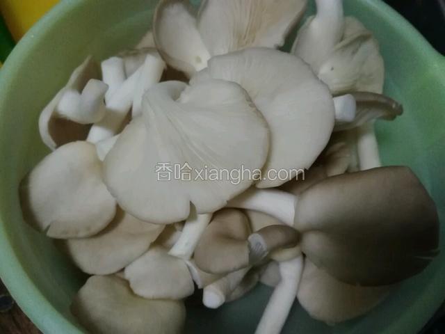 备料
