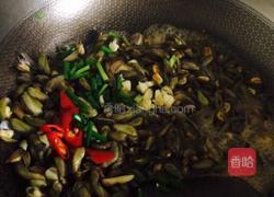 炒海瓜子的做法图解5