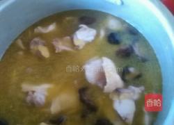 香菇炖鸡的做法图解9