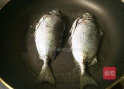 香煎泥猛鱼的做法图解3