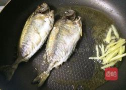 香煎泥猛鱼的做法图解5