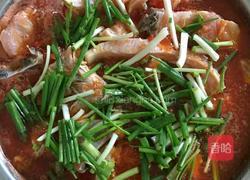 酸汤鱼的做法图解3