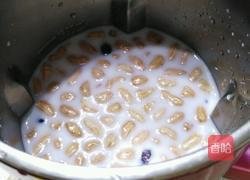 花生牛奶露的做法图解2