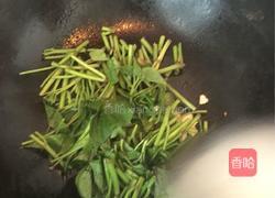蒜香地瓜叶的做法图解6