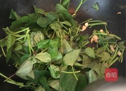 蒜香地瓜叶的做法图解7