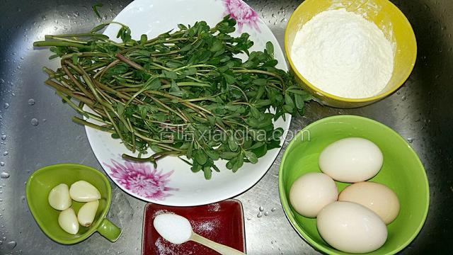准备食材，洗净的马齿苋，剥皮的蒜瓣，盐，鸡蛋，面粉