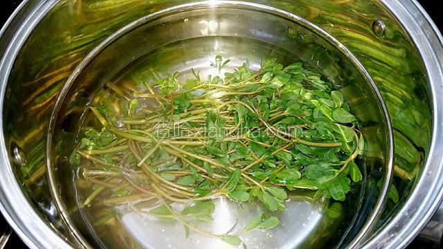 烧开水，放入马齿苋，煮开捞出