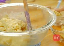 狮子RYAN曲奇饼干的做法图解6