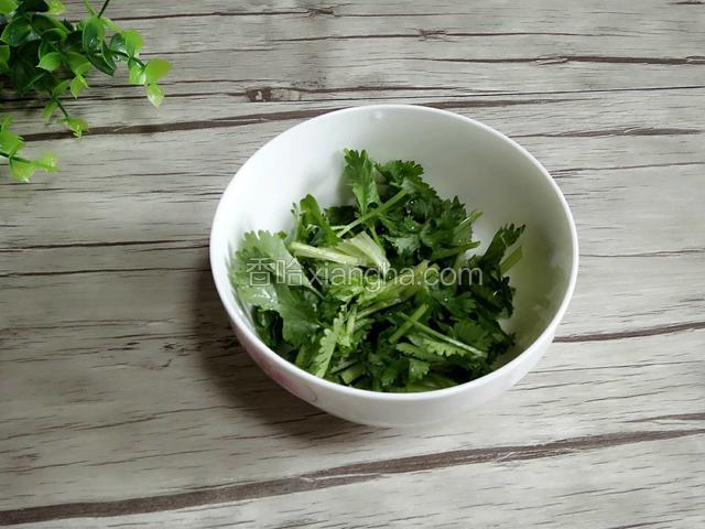 香菜洗干净控干水切成3厘米的段装盘备用。