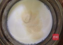 木瓜椰奶冻的做法图解5