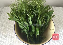 蘸汁南瓜藤的做法图解1