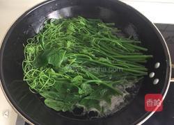 蘸汁南瓜藤的做法图解3