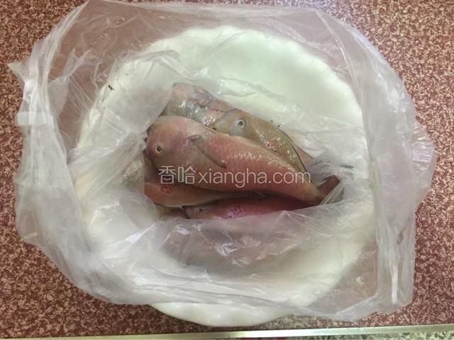 准备好马头鱼