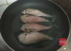 香煎马头鱼的做法图解3