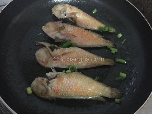 加入适量的葱花即可关火