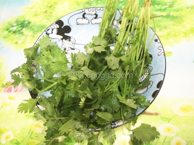 香菜洗净备用。