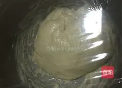 Illustration of how to make hamburger embryos 6