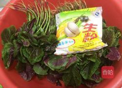 蒜香苋菜的做法图解1