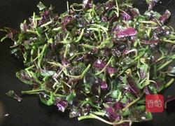蒜香苋菜的做法图解7