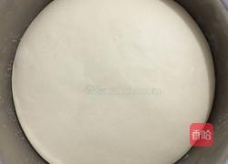 生煎灌汤包的做法图解5