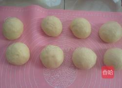 椰蓉花面包的做法图解5