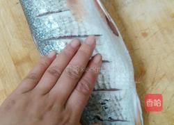 家常烧黄鱼的做法图解4