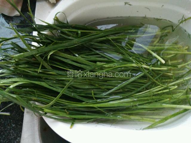 韭菜洗净，流动水冲洗