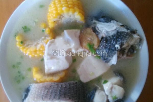 黑鱼玉米豆腐汤