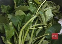 家常南瓜藤的做法图解1