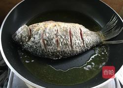 红烧鲫鱼的做法图解4