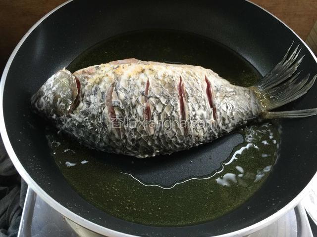 不粘锅倒入少许油，油热后放入鲫鱼煎炸。