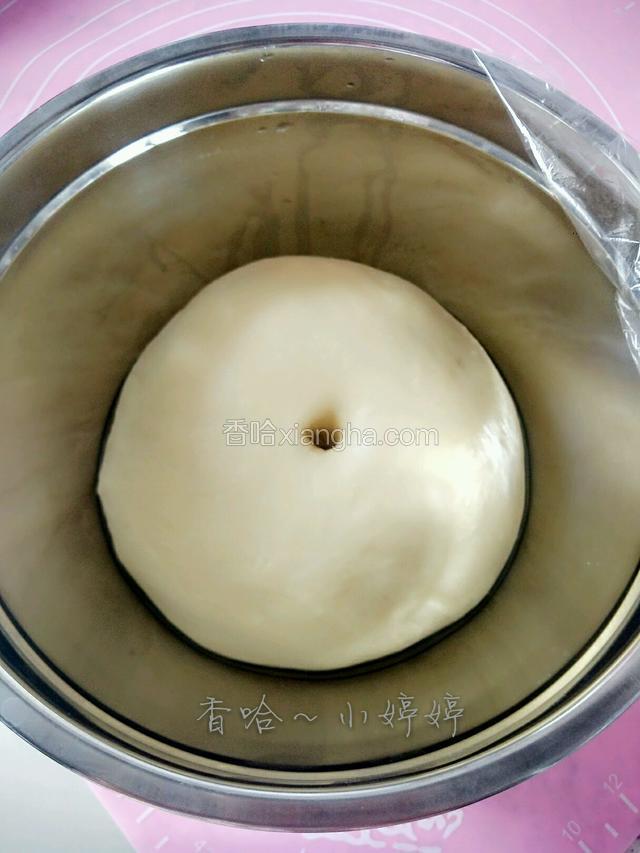 当面团发酵至原来的2倍大，有手指蘸干面粉插入面团中，空洞不立即回缩，面团已经发酵好了