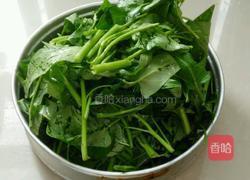 蒜蓉空心菜的做法图解1