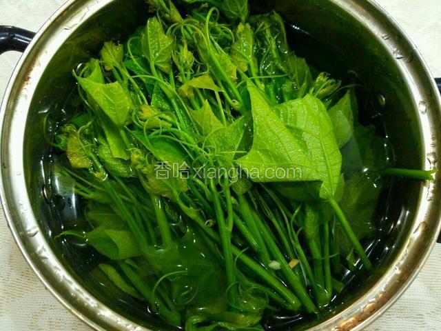 锅里添水，开大火，等水开了放入丝瓜尖炤一下，直到丝瓜尖变软捞出来。