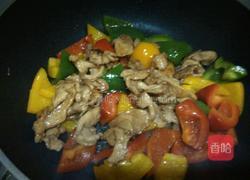 彩椒炒鸡肉的做法图解5