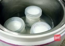 焖烧锅自制酸奶(不耗电)的做法图解2