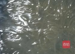 手撕包菜炒粉条的做法图解3