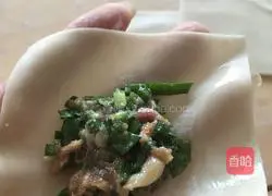 Guanmao Wonton Tutorial Illustration 5