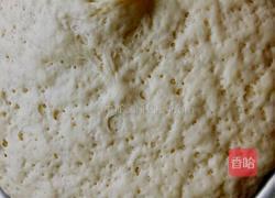 白菜青椒肉包子的做法图解4