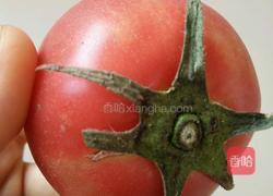 鲜榨果汁水蜜桃的做法图解3