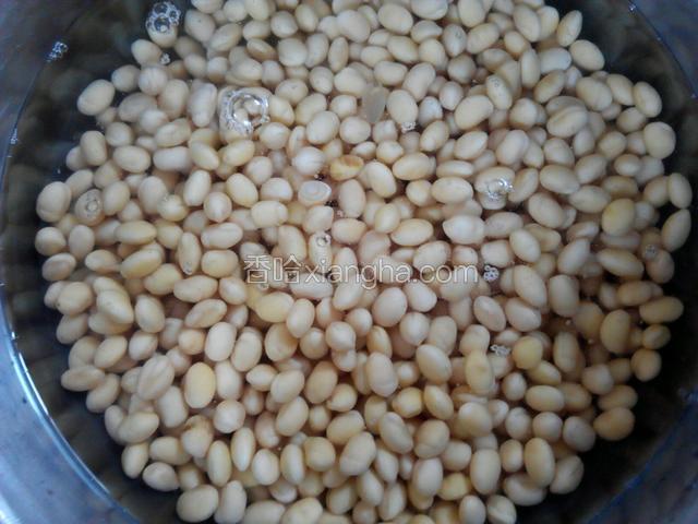 黄豆泡发好洗净备用
