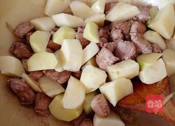 土豆炖肉的做法图解8